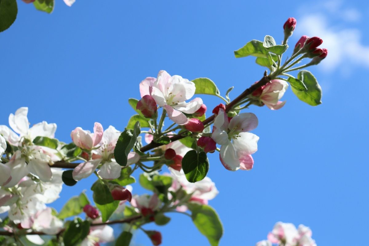 Foto: Phoebe K on Unsplash